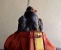 Ganapathy